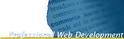 A professional NJ web design & graphics design company